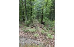 V/L E Sandra Kay Road, Fountain, MI 49410