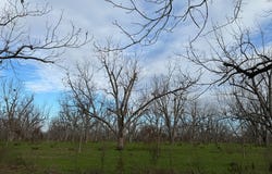 Carter Road, Naylor, GA 31641