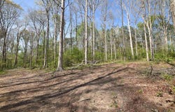 611 Co Rd 1568, Cullman, AL 35058