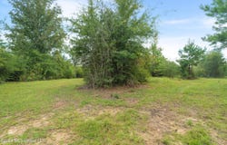 2705 Pilgrims Rest Road, Magnolia, MS 39652