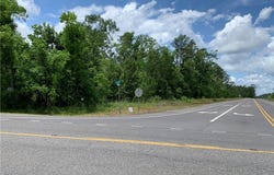 0 PINE FOREST Road, DeQuincy, LA 70633