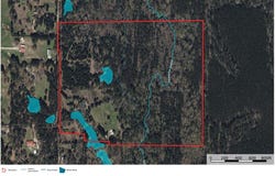 R13601 Thompson Road, Pollok, TX 75969
