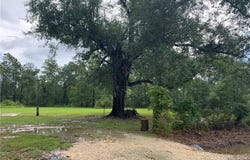 0 Brahman Drive, Ragley, LA 70657