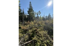 585 N CZECH LN, HESSEL, MI 49745