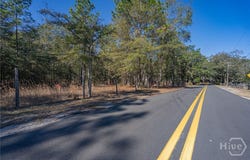 Holly Drive, Eden, GA 31307