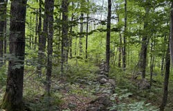 01 Center Hill Road, Weld, ME 04285