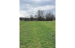 01 SCHOLES Ln, Stanton, TN 38069