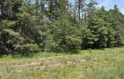 S Broadway Street, Idlewild, MI 49642