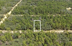 Neilsen Ave, Interlachen, FL 32148