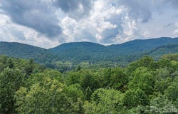 116 Ivy Road, Mills River, NC 28759