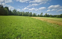 Webster Street, Malone, NY 12953