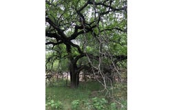 76 E Valley Springs Rd, Wimberley, TX 78676