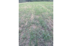 Crypress Lake lot: 3, Beebe, AR 72020