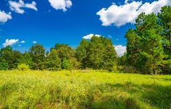 14799 FM 315, Palestine, TX 75803