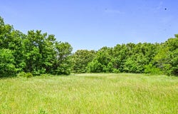 S 7th RD, Humansville, MO 65674