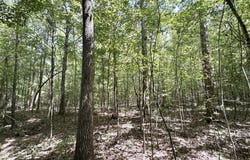 4 Clara Foote Rd, Braxton, MS 39044