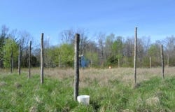 87+/-ac Boles Rd, Hilham, TN 38568