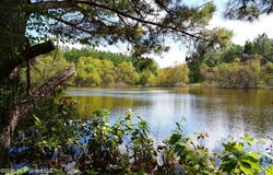Mallalieu Drive, Ruth, MS 39662