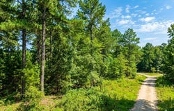 176 Xpress Lane, Hochatown, OK 74728