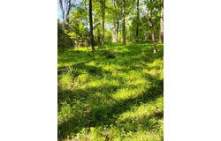 Hill Rd, PARIS, TN 38242