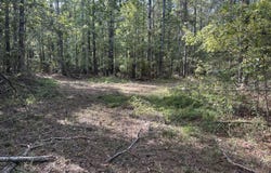329 Big Man Road, West, MS 39192