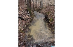 377 MAGNOLIA LANE lot: 1, VANDIVER, AL 35176