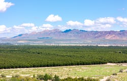400 Lister Avenue, La Mesa, NM 88044