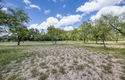 Cr 393, Camp Wood, TX 78833