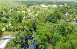 1330 NE Cedar St, Steinhatchee, FL 32359