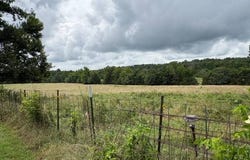 925 Peace Valley Rd, Ash Flat, AR 72513