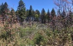 6847 High Valley, Lucerne, CA 95458