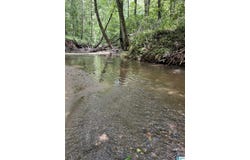 COUNTY ROAD 246 lot: 91, FIVE POINTS, AL 36855