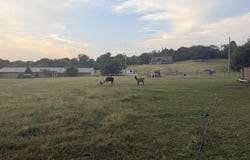 226 Feemster Drive, Marshall, AR 72650