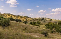 945 Elm Pass Rd, Center Point, TX 78010