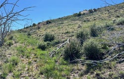 Canyon Peak, Pioche, NV 89043