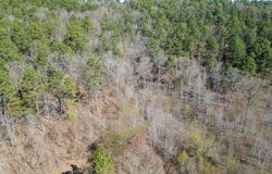 Union Hill Road, Pleasant Plains, AR 72568