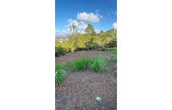 Robles, Aibonito, PR