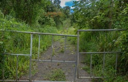Puente, Camuy, PR 00627
