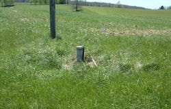 Friars Hill Rd, Trout, WV 24991