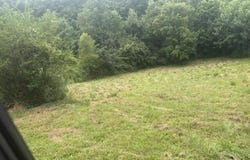 52 Johnson Loop, Pikeville, KY 41501