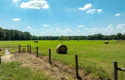 Sunshine Ln., Pangburn, AR 72121-0000
