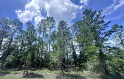 107 GEORGETOWN POINT RD, Georgetown, FL 32139