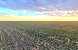300th Ave, Nekoma, KS 67559