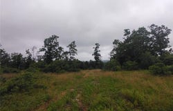 Tract 12, Belleview, MO 63623