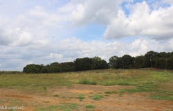 5077 Old Barn Cove lot: 16, Hernando, MS 38632