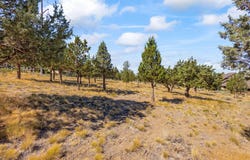 823 Highland View Loop, Redmond, OR 97756