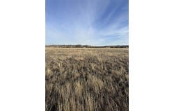 Callen Dr, Cody, WY 82414