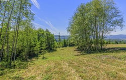 Old Tree Farm Dr, Longview, WA 98632
