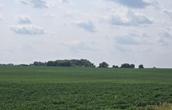 13261 480th Ave, Donnelly, MN 56235