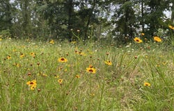 Hwy 84, Amity, AR 71921-0000
